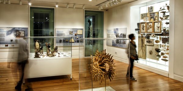 Museum visitor photo