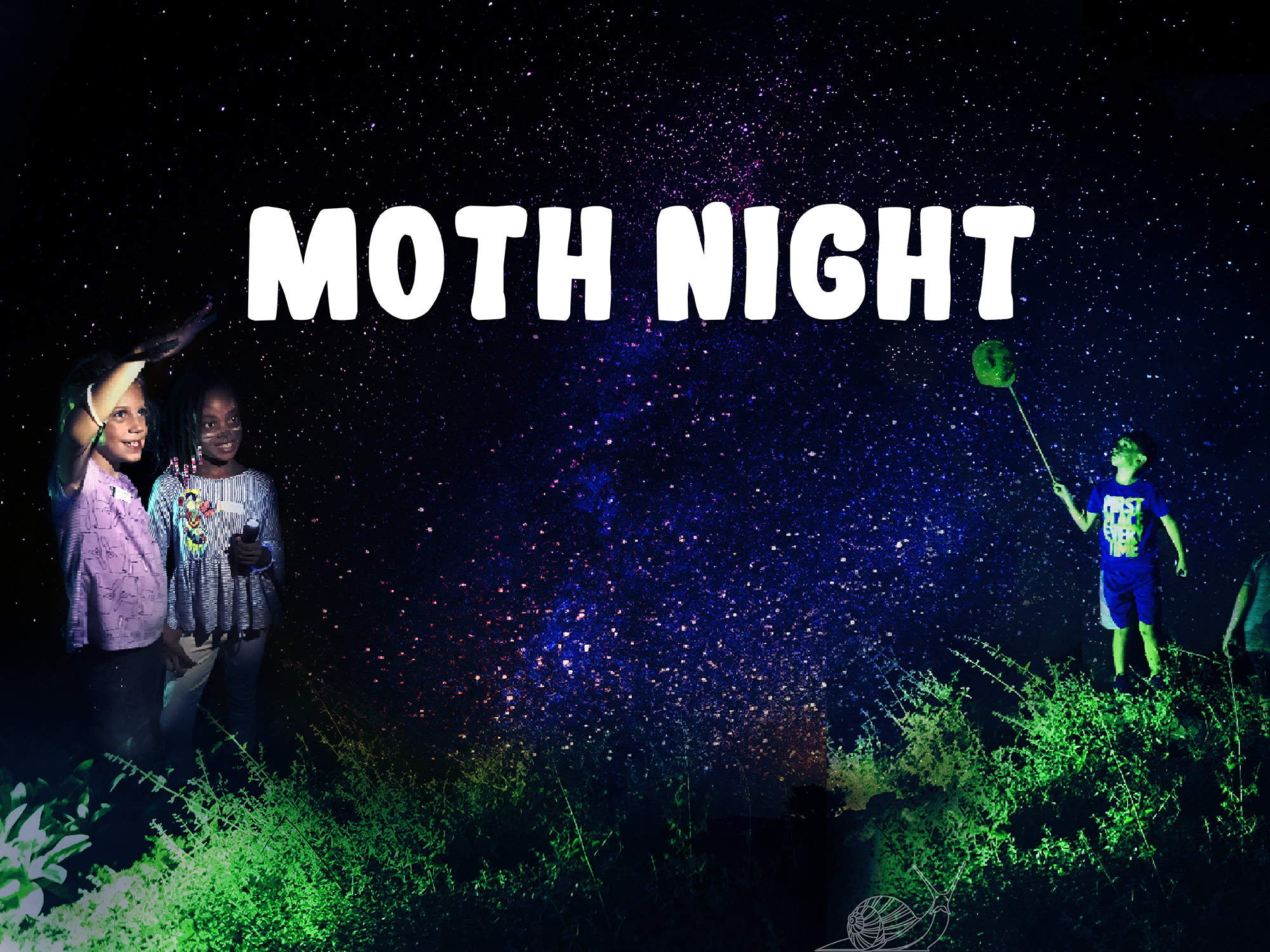 Moth Night Graphic