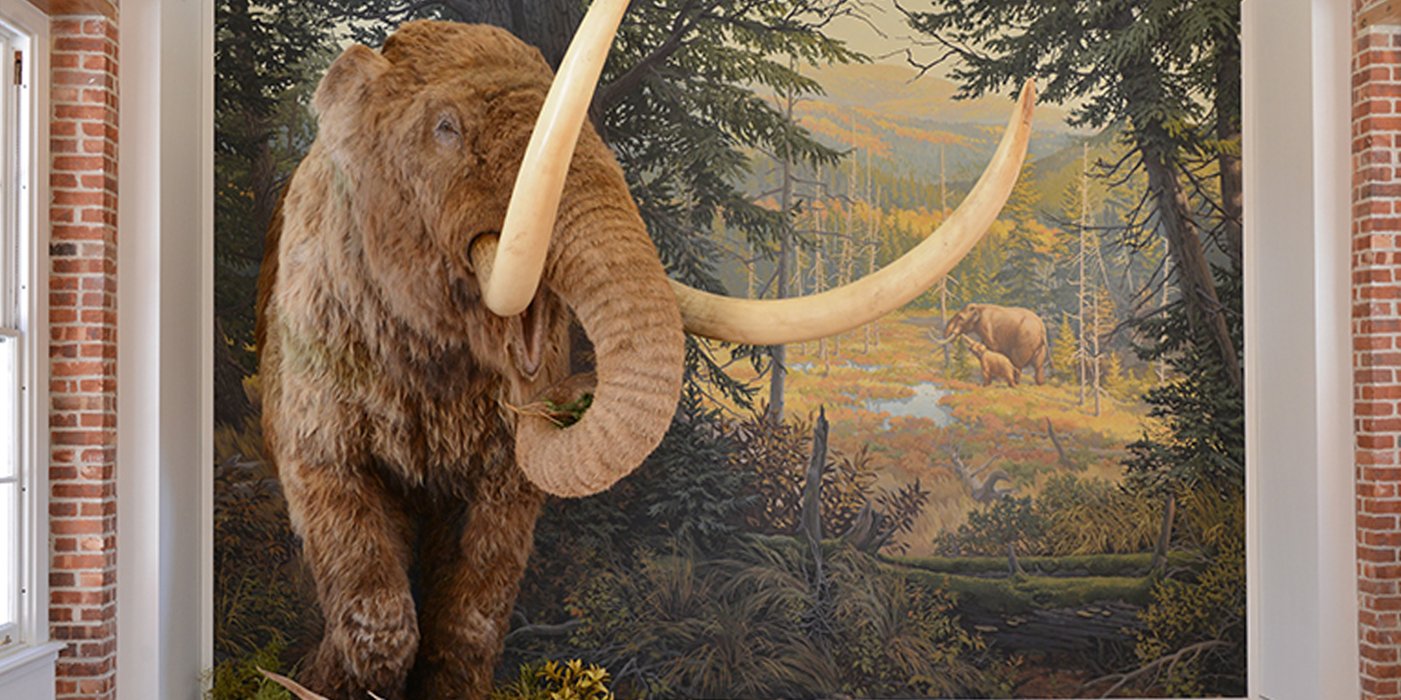 A large mastodon replica emerging through a forest mural on the wall.