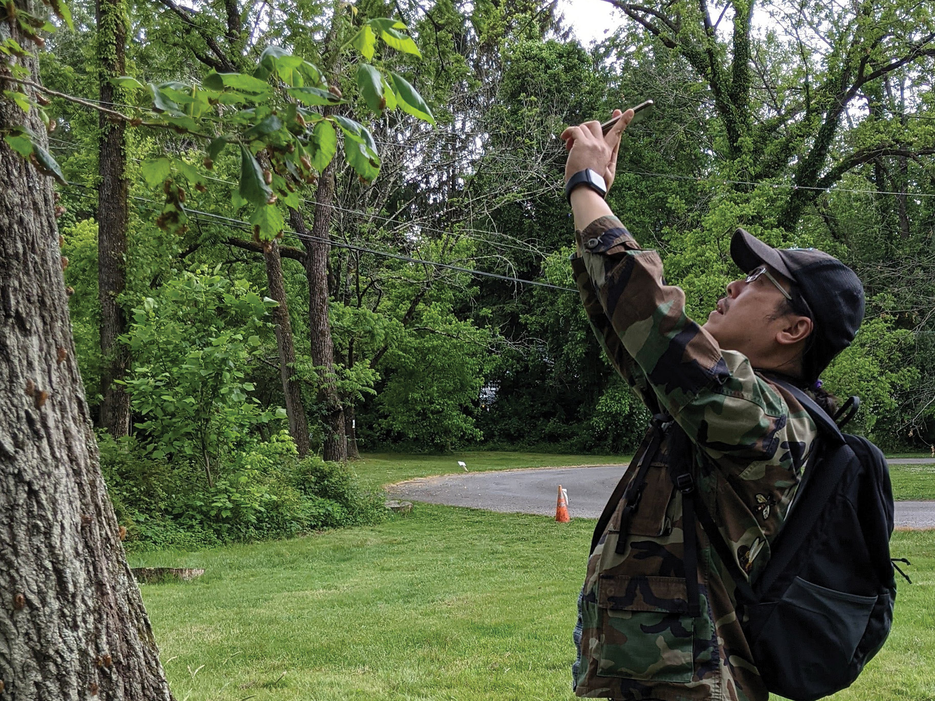 A man in a camouflage jacket and hat with arms stretched above him taking a photo of insects on a tree