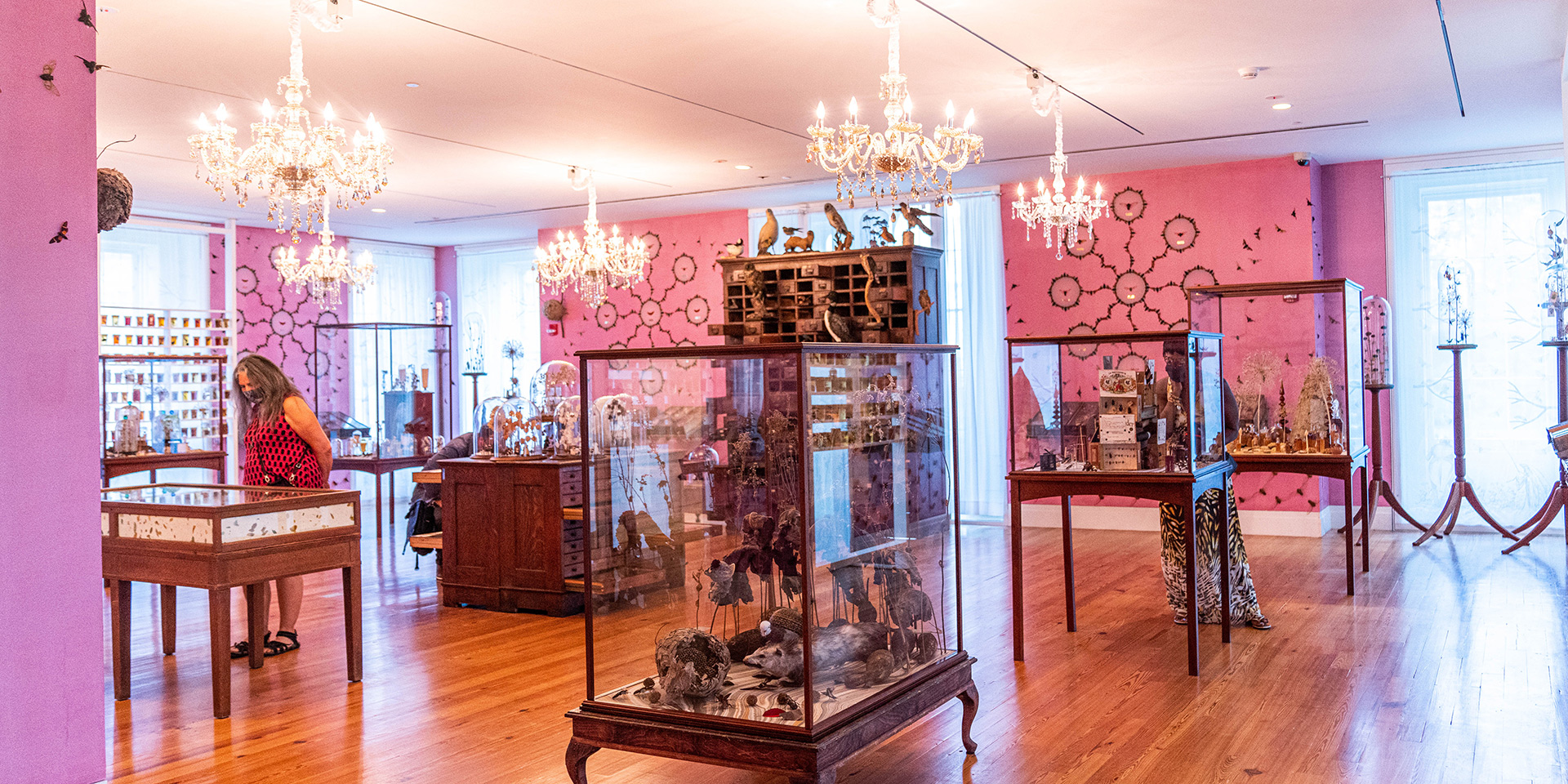 Gallery view of Magicicada exhibition, pink walls with crystal chandeliers and glass cases in the room