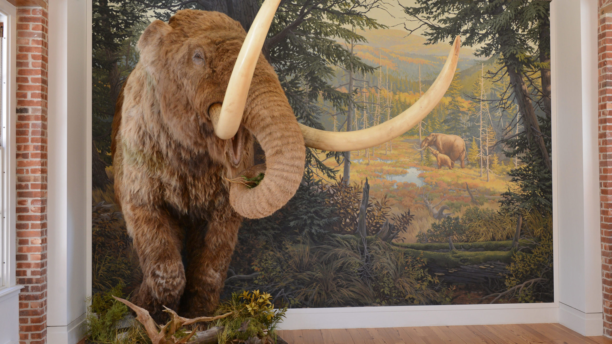 Mastodon replica emerging from the wall of a painted forest mural