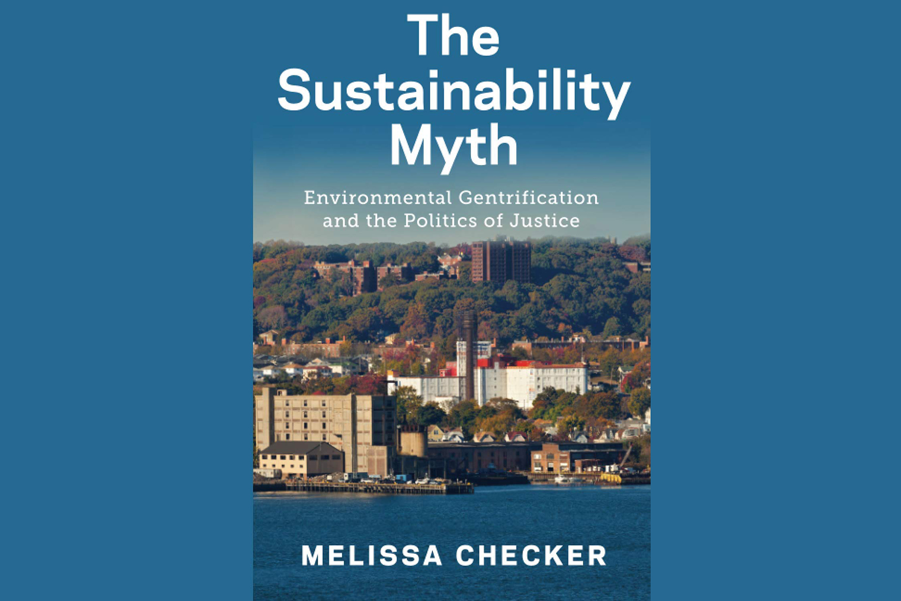 Book cover The Sustainability Myth