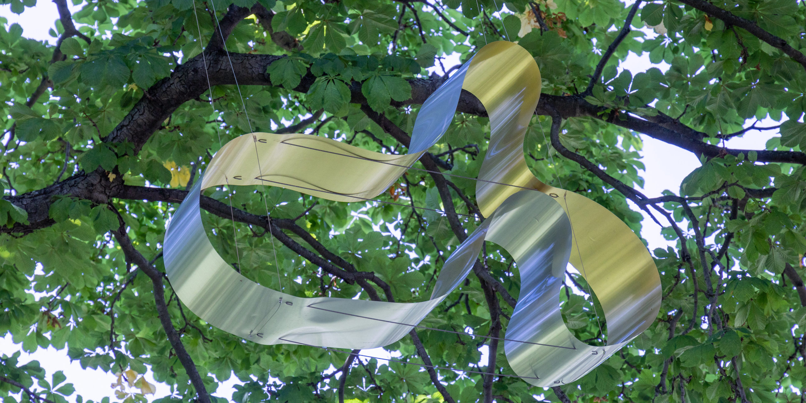 Sculpture suspended from a tree viewed from below