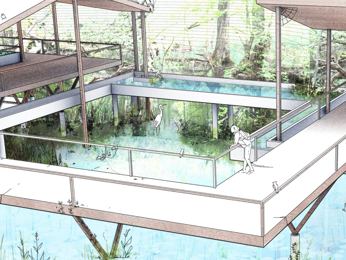 Architectural sketch of a square walkway built over water, open air with two rooves (right and left) with a girl looking over one edge at a heron in the center.