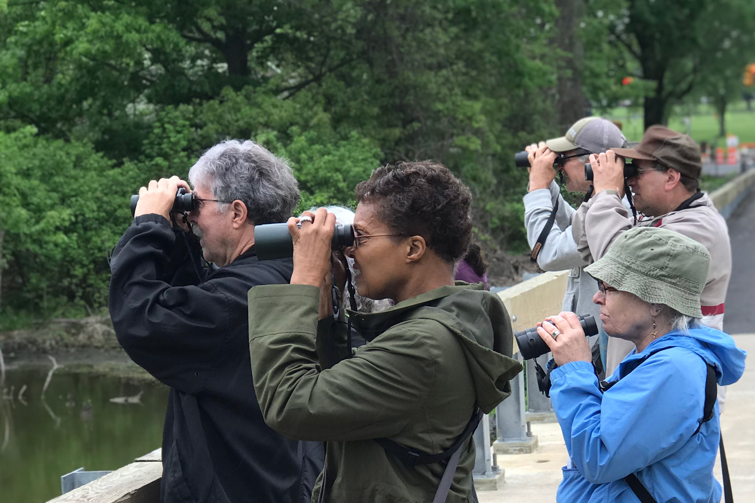 Five adults pictured from the waist up in dark rain jackets facing the left on a foot bridge, holding binoculars overlooking the water.
