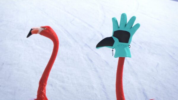 Cartoon of two flamingo heads in the snow, one wearing a clove as a hat and face covering