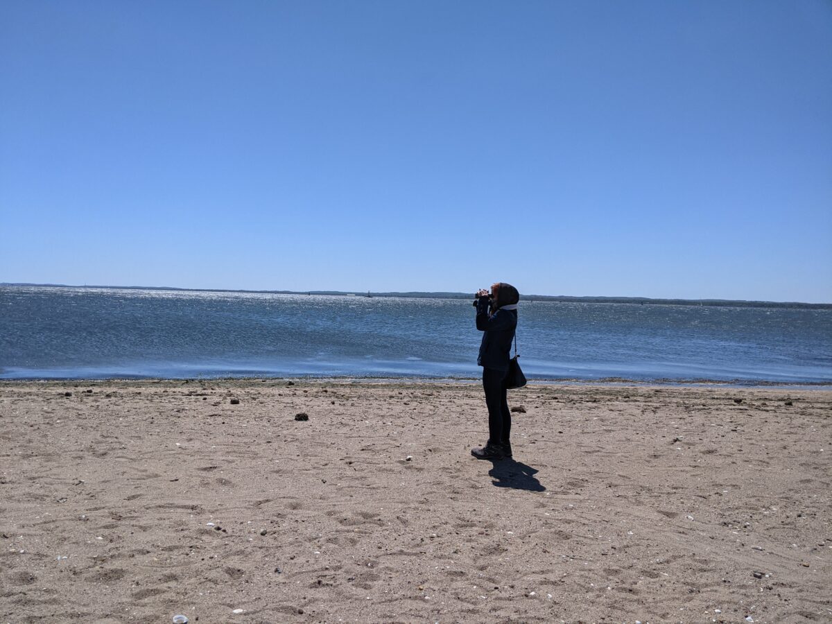 A person birdwatching on a beach.
