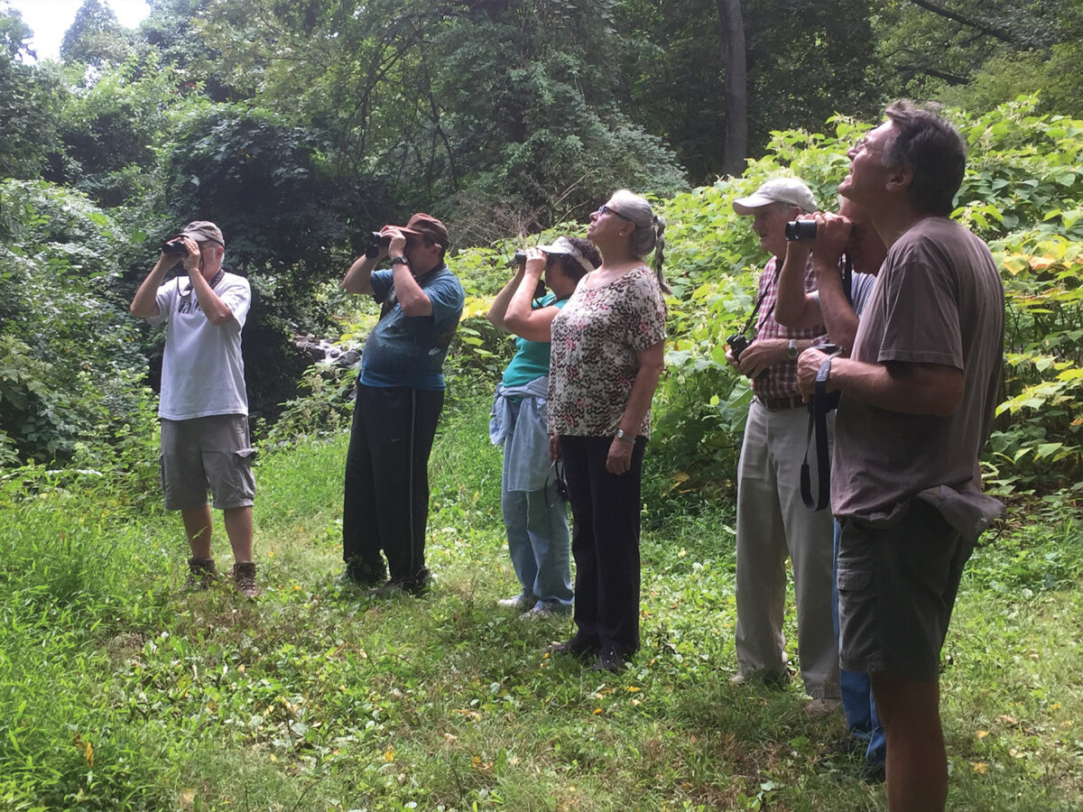 A group of birders looking into the trees at Clove Lakes Park